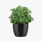 Artisanal Vase